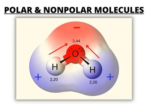 Determining Polar and Nonpolar Molecules