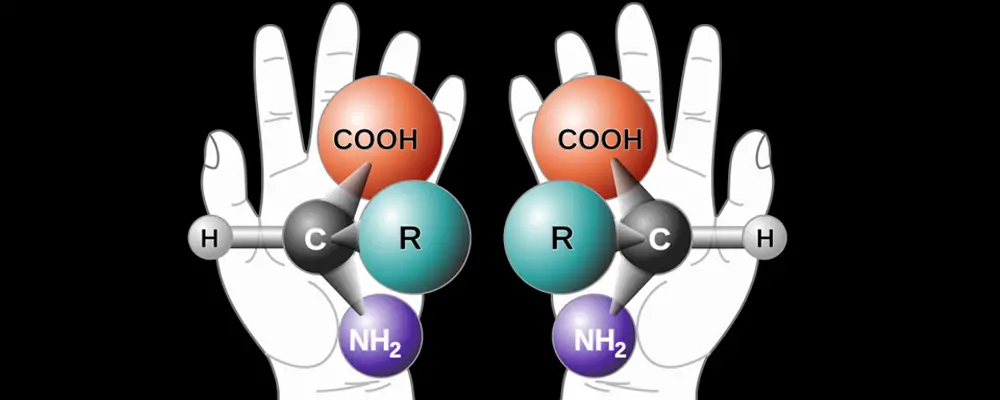 How To Find Chiral Centers