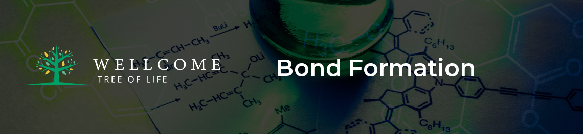 bond formation