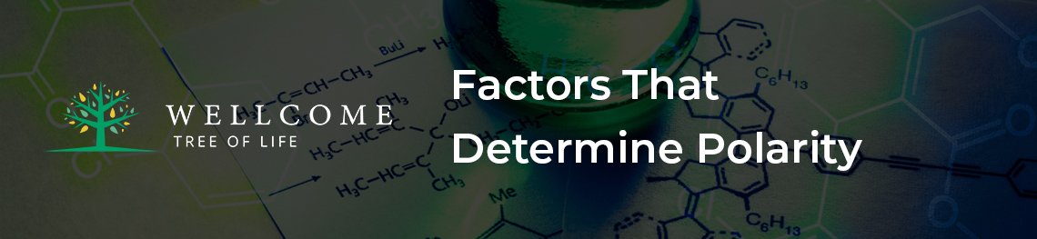 Factors That Determine Polarity