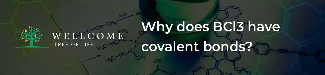 Why does BCl3 have covalent bonds?