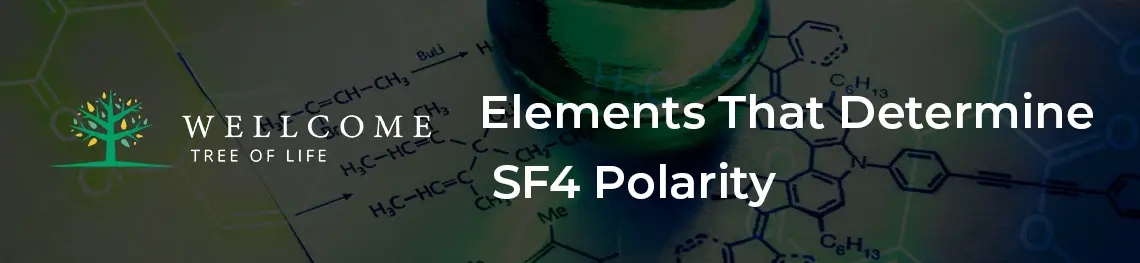 Elements That Determine SF4 Polarity