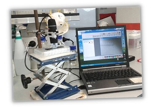 microscope software