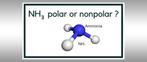 NH3 Polar Or Nonpolar