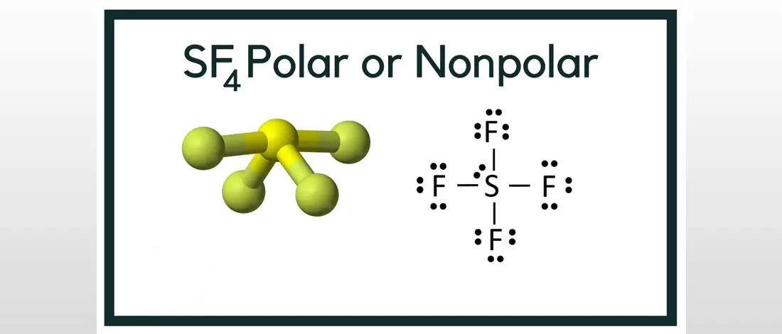 SF4 Polar or NonPolar