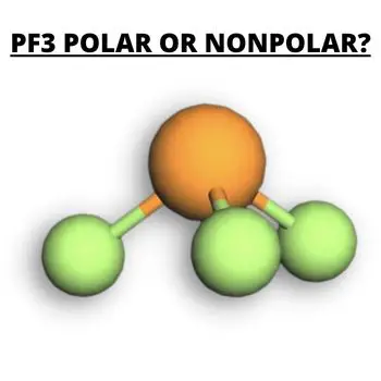 Polarity or Nonpolarity of PF3