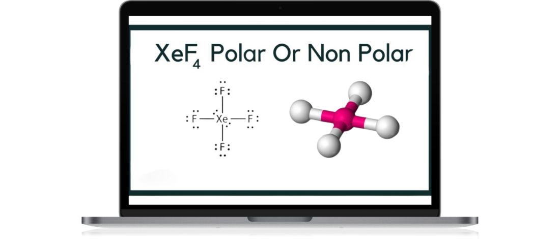 xef4-polar-or-nonpolar