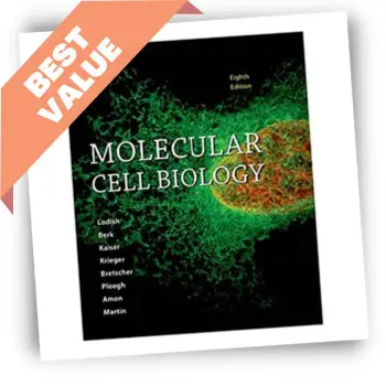 Molecular-Cell-Biology