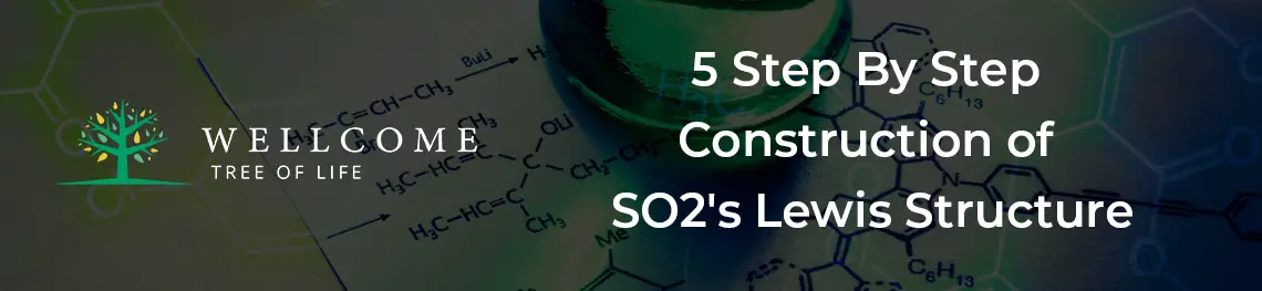 5 Step By Step Construction of SO2's Lewis Structure