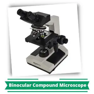 Amazon Basics Binocular Compound Microscope