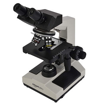 Amazon Basics Siedentopf Binocular Compound Microscope