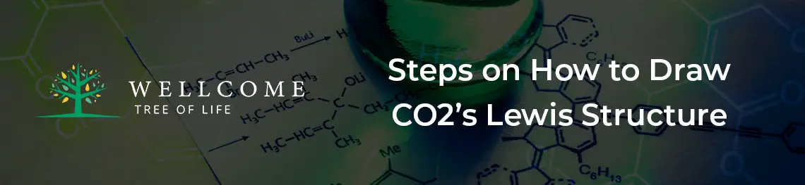 Steps on How to Draw CO2’s Lewis Structure