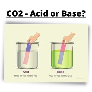 CO2 carbon dioxide Acid or Base