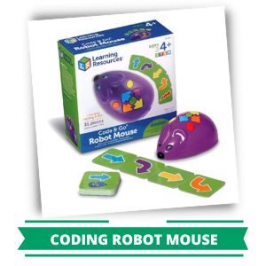 Coding Challenge Robot Mouse