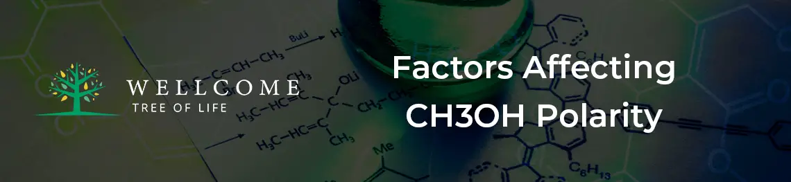 Factors Affecting CH3OH Polarity