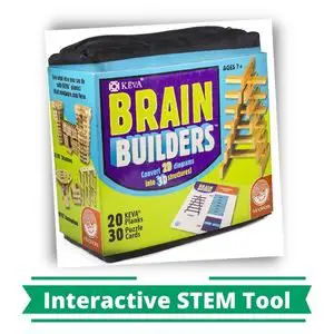 Brainbuilder an Interactive STEM Tool