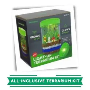 terrarium kit for kids