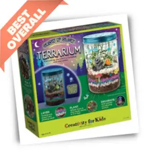 Grow ‘N Glow Terrarium Kit for Kids
